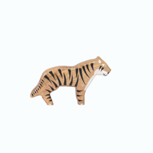 Tiger – endangered species